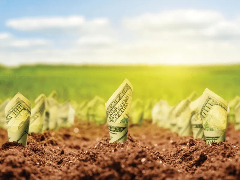 Banconote da un dollaro arrotolate che spuntano dal terreno come piante