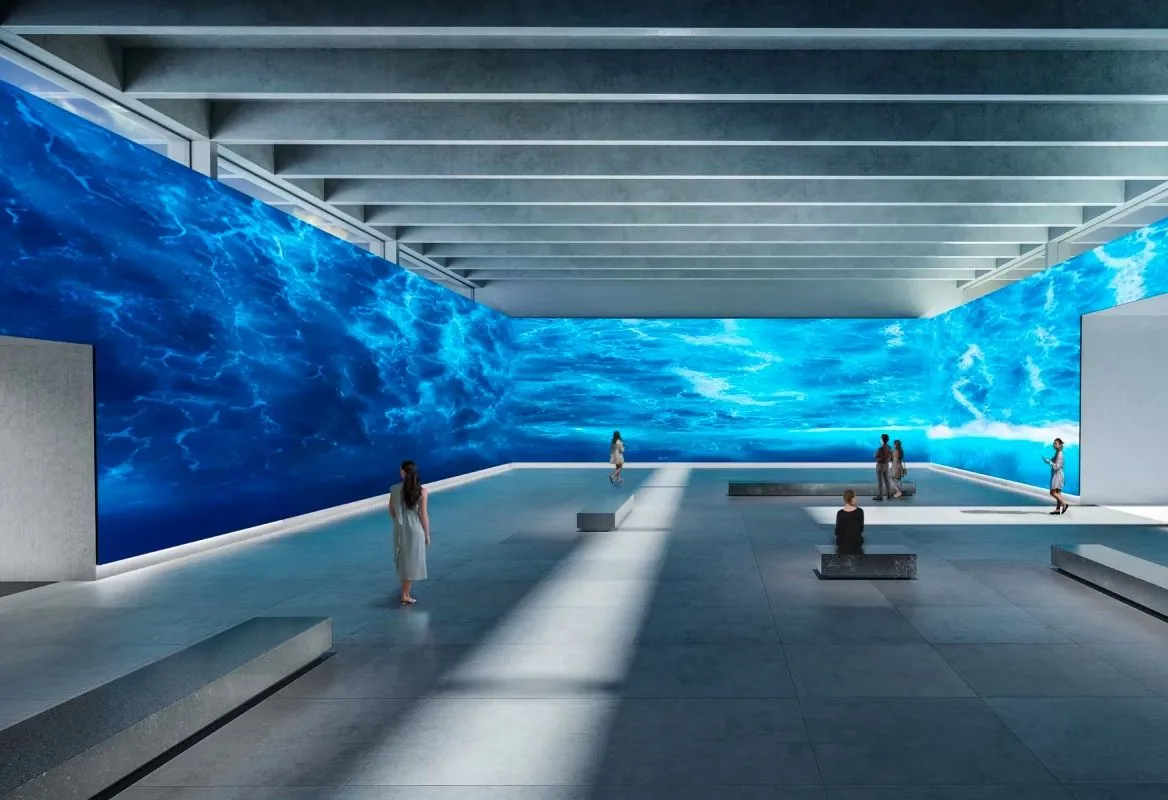 Uso artistico di schermi Sony BRAVIA