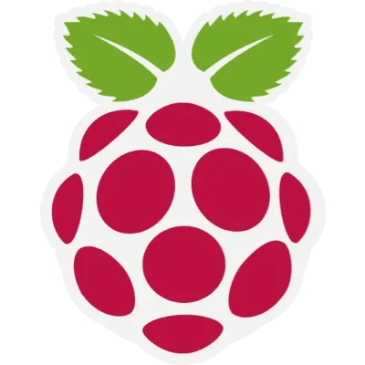 Logo di Raspberry Pi